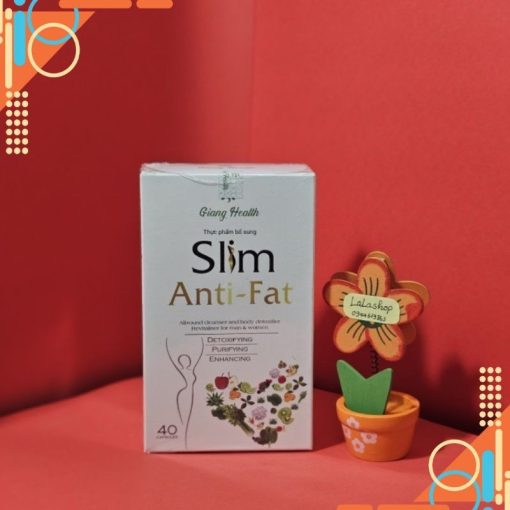 Viên Uống Giảm Cân Slim Anti-fat Giang Health - Hộp 40 viên - HTshop