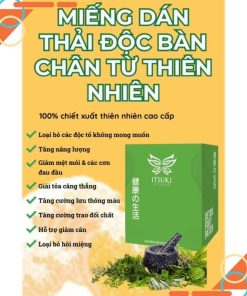 Miếng dán thải độc chân Itsuki Kenko Nhật Bản - Hộp 40 miếng - HTshop