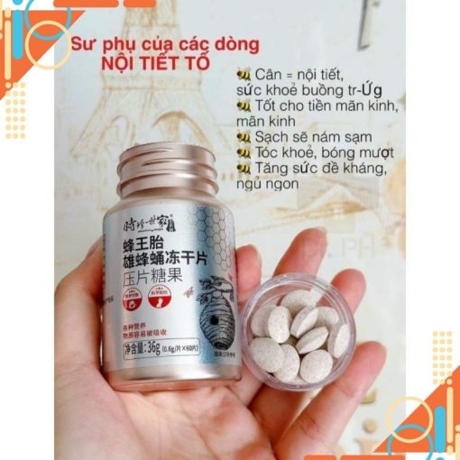 Viên Uống Nội Tiết Nhộng Ong Đông Khô - Hộp 60 viên - HTshop