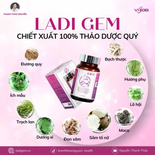 Viên Uống Nội Tiết Ladi Gem Hỗ Trợ Giảm Các Triệu Chứng Do Suy Giảm Nội Tiết Tố - Hộp 60 viên HTshop